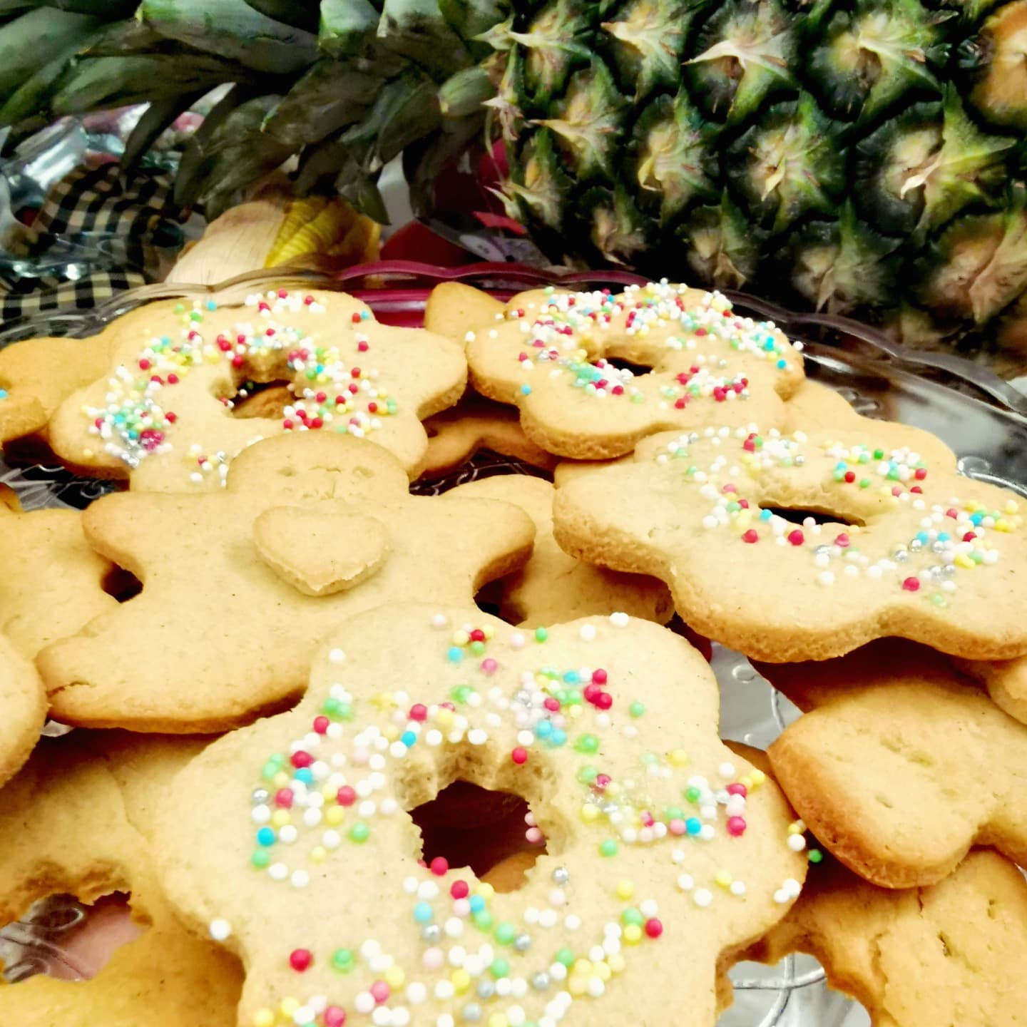 Biscoitos de óleo arlequim