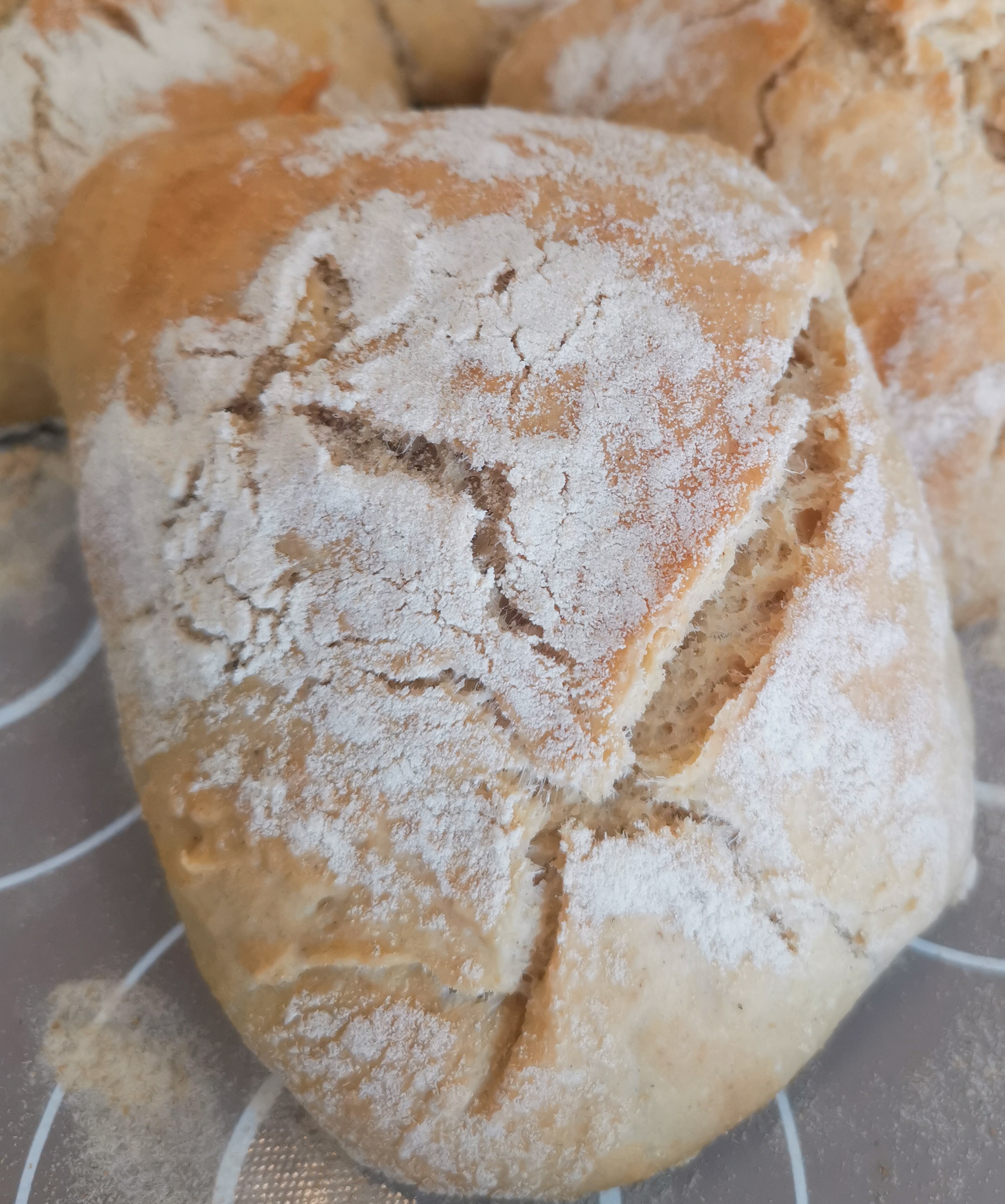 Pão ciabatta facilíssimo e rápido