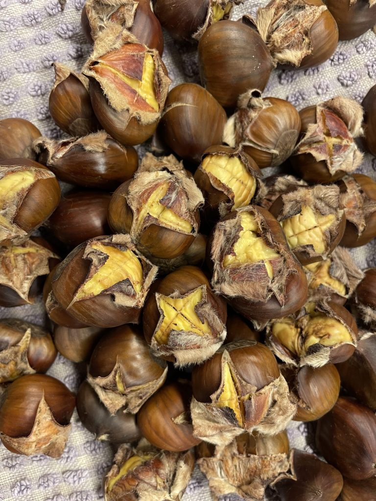 Castanhas na fritadeira elétrica