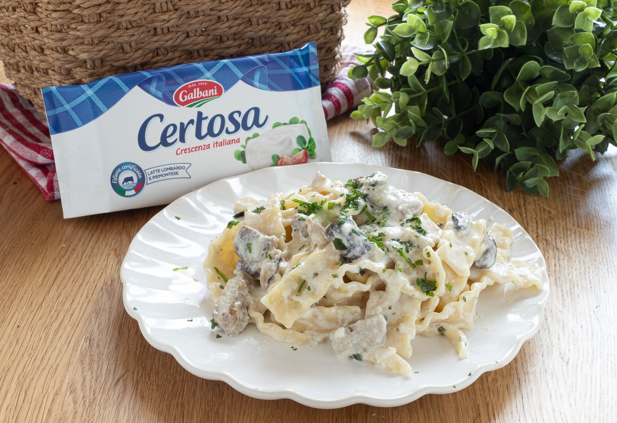 Macarrão com cogumelos refogados e Certosa