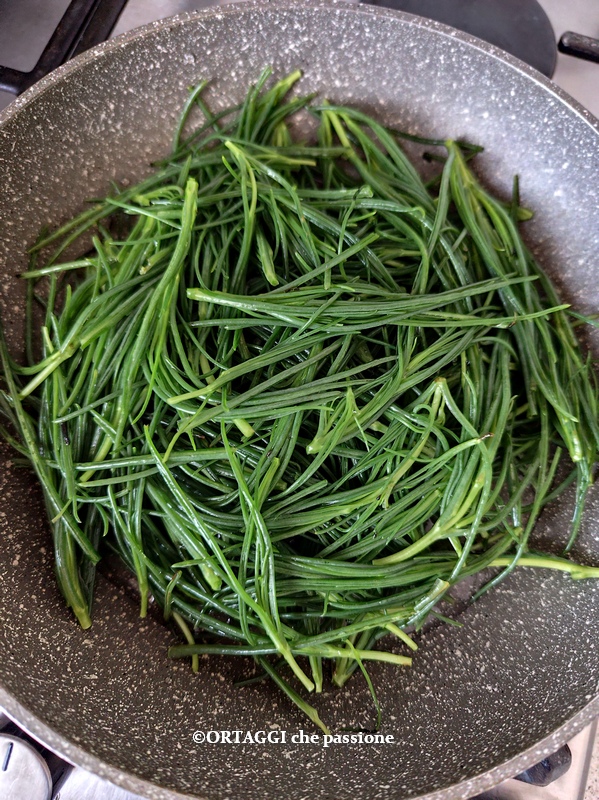 agretti fáceis na frigideira