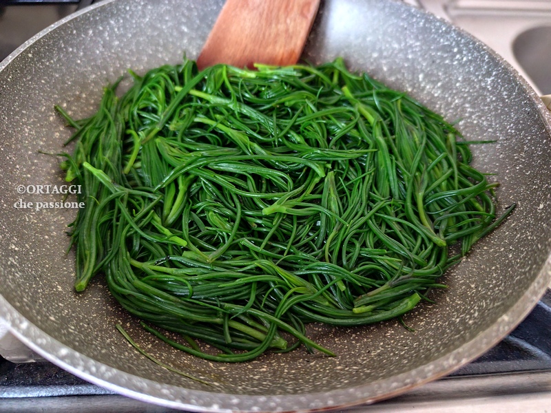 Agretti fáceis e rápidos - na frigideira sem fervê-los