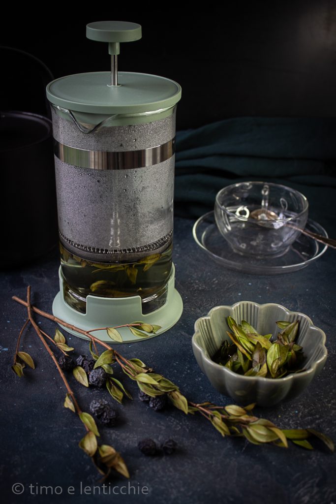 Infusão e decoção de murta