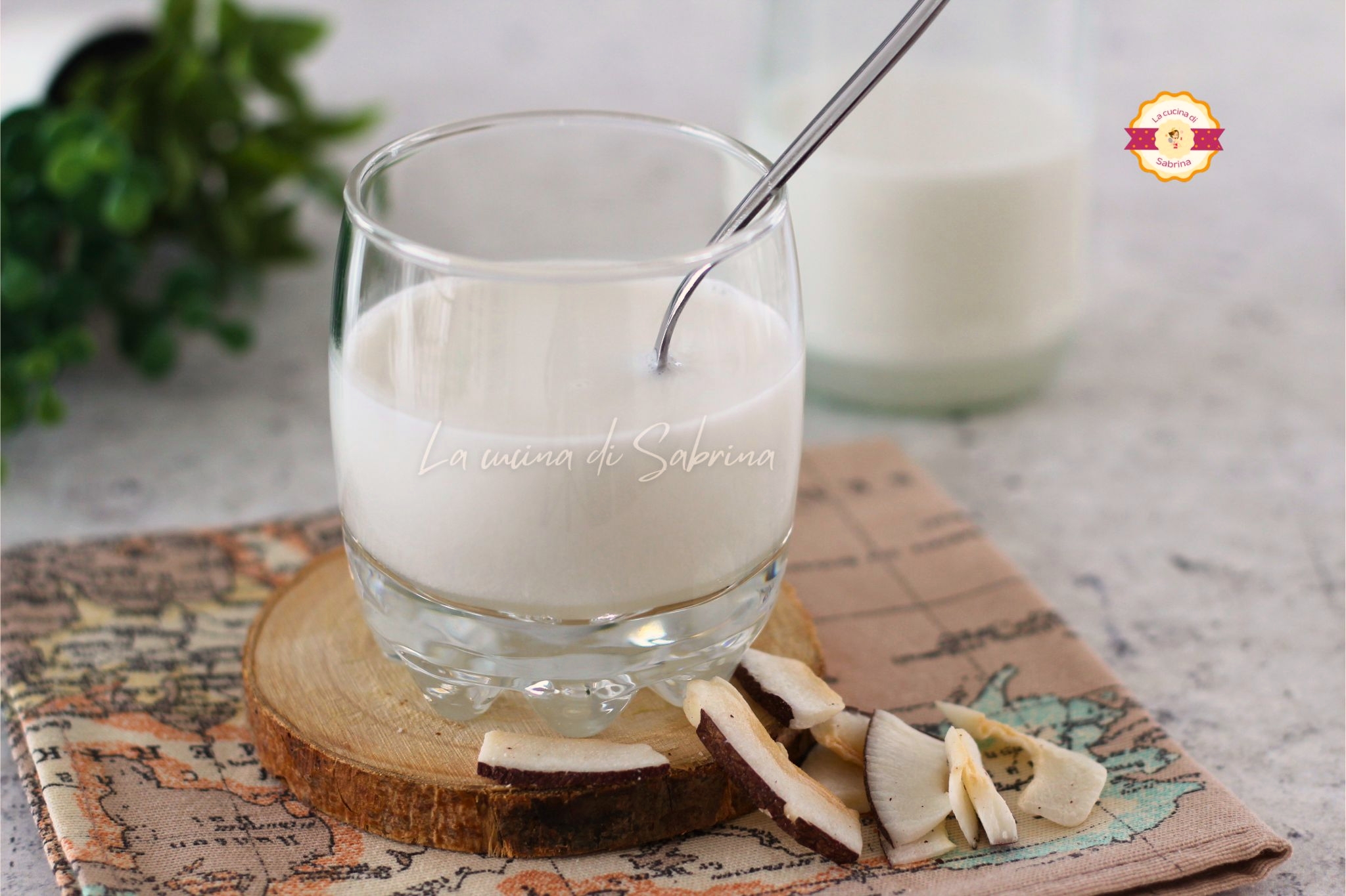 Leite de coco cremoso caseiro (receita fácil)