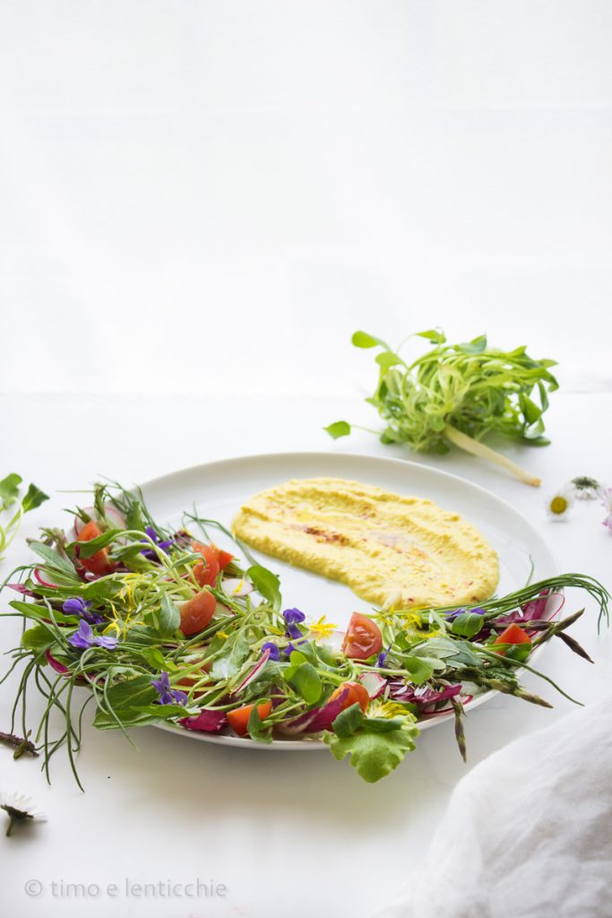 Salada dos campos de primavera