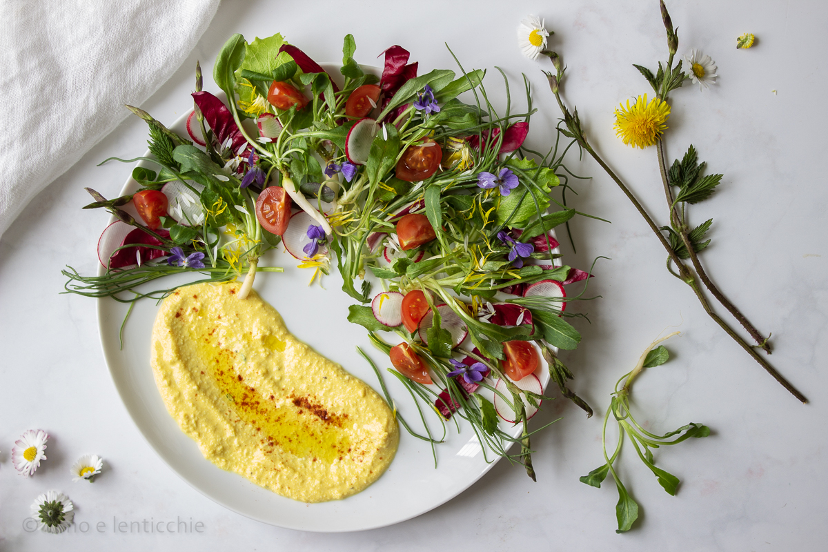 Salada dos campos de primavera