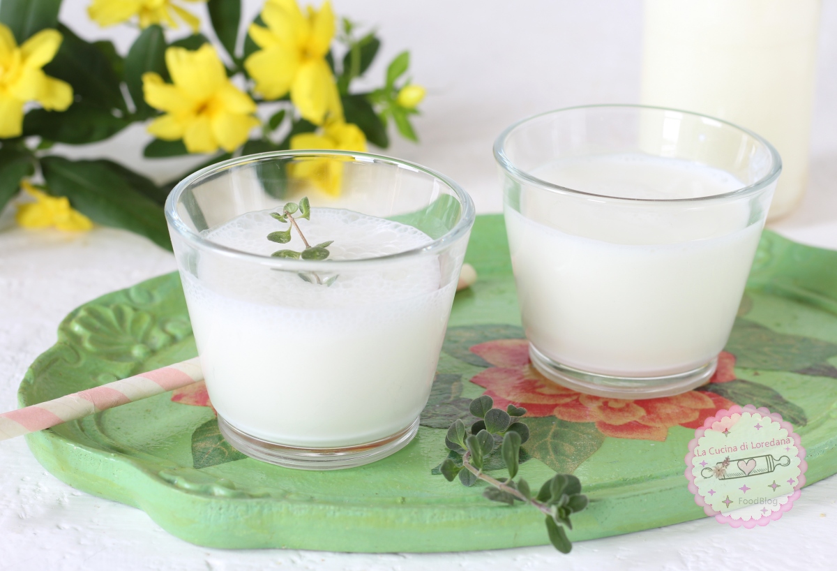 AYRAN, a bebida turca à base de iogurte