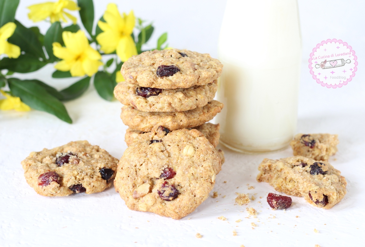 BISCOITOS INTEGRAIS COM AVEIA E CRANBERRIES ricos em fibras
