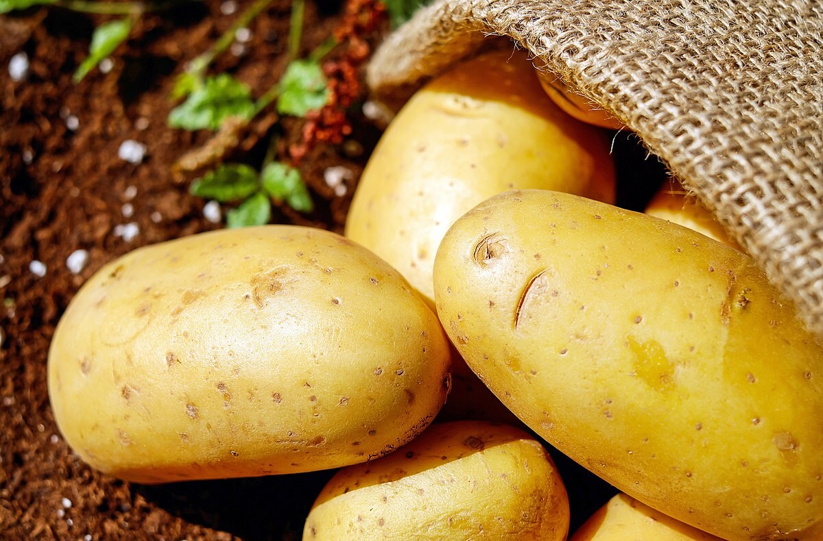 Gekookte aardappelen in de magnetron