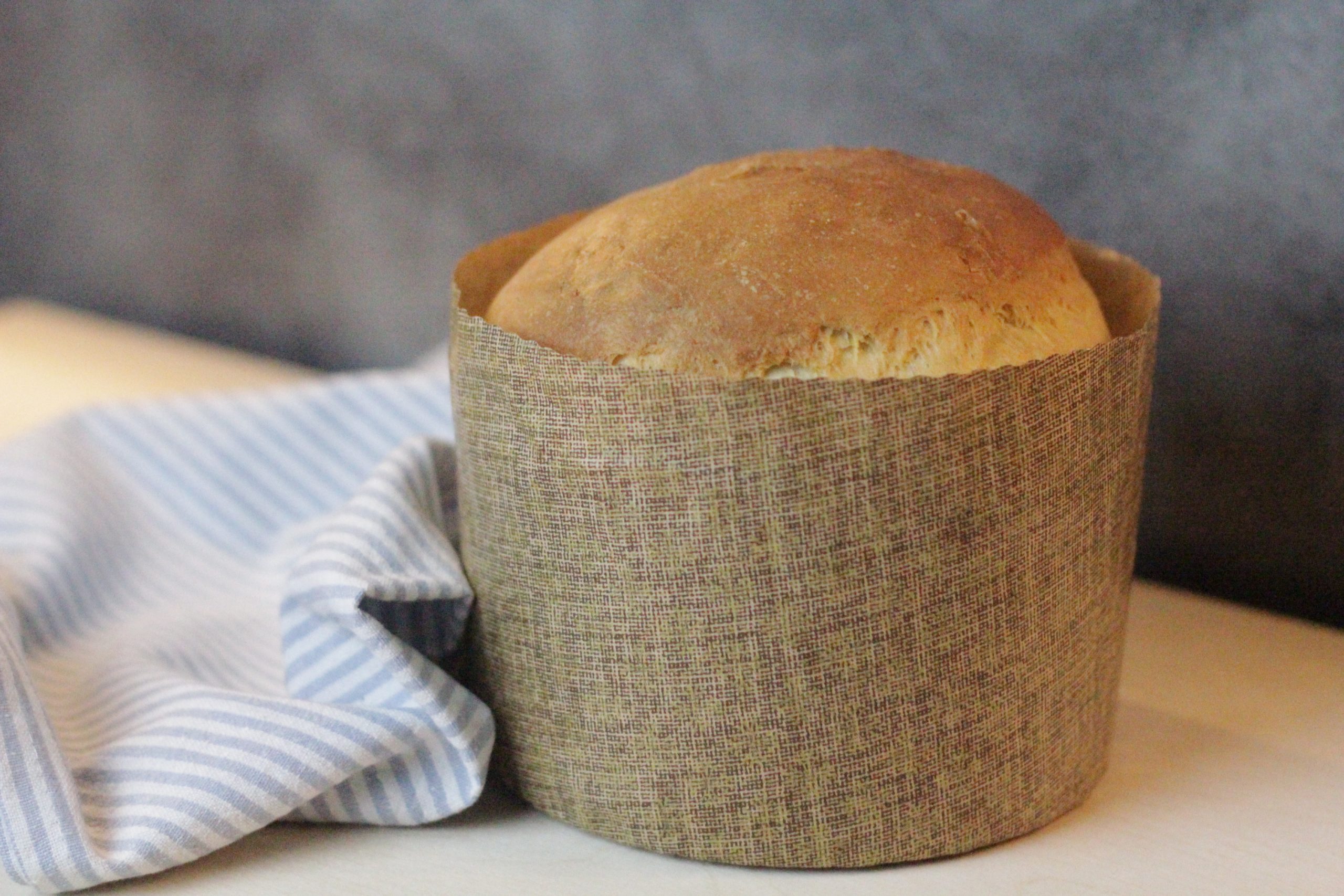 Gastronomische panettone