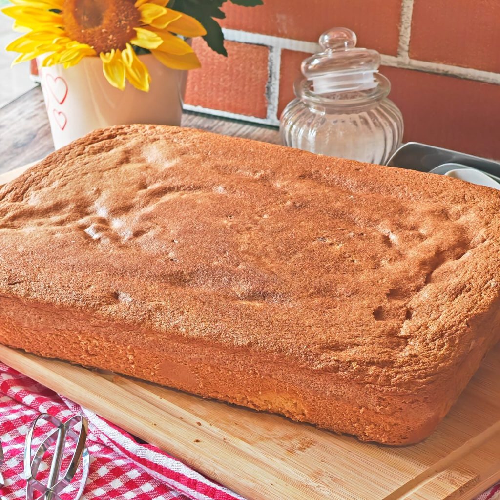Rechthoekige zachte biscuit