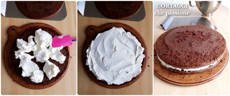 005 vullen sponscake - ORTAGGI che passione