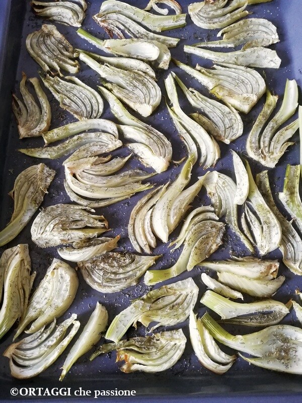 Venkel uit de oven ORTAGGI che passione