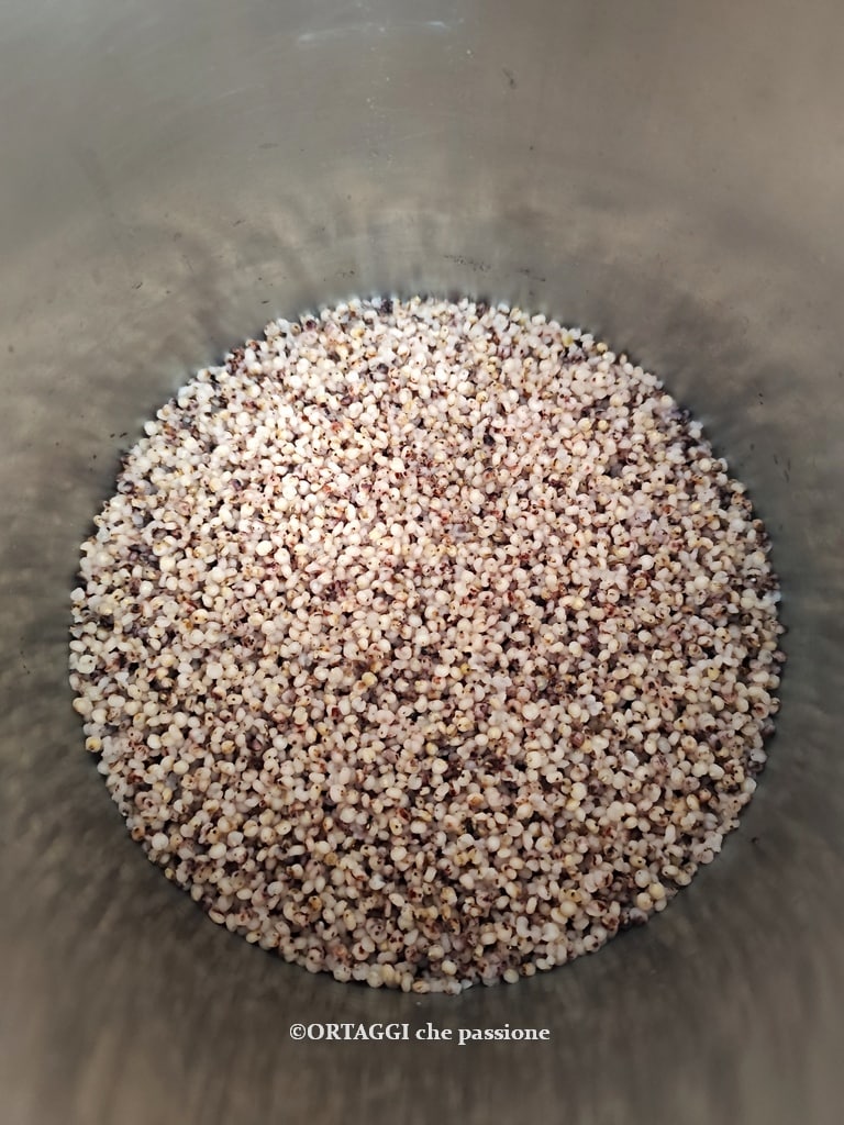 gekookte gepelde sorghum