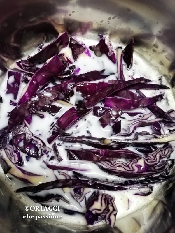 kook de aardappelen en rodekool in plantaardige melk