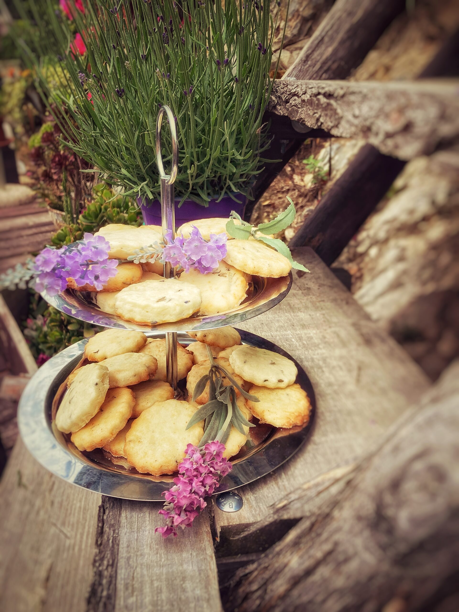 Petit Beurre met lavendel (Frankrijk)