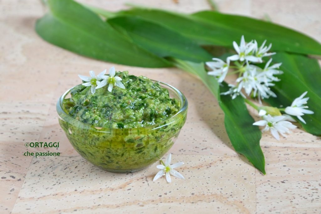 Pesto van daslook GROENTEN die passie door Sara