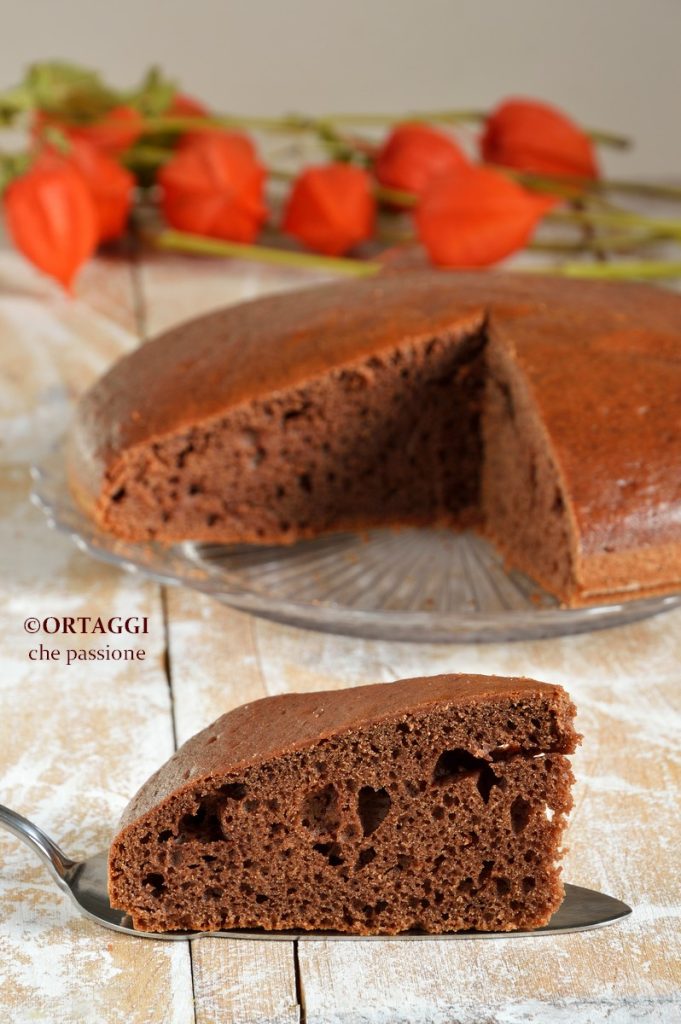 snelle en makkelijke cacaocake