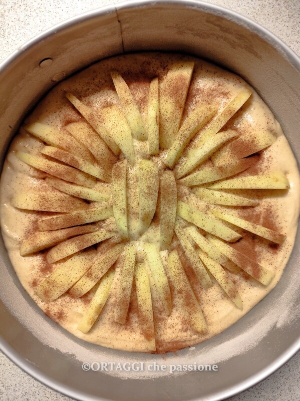 bestrooi de appeltaart met kaneel