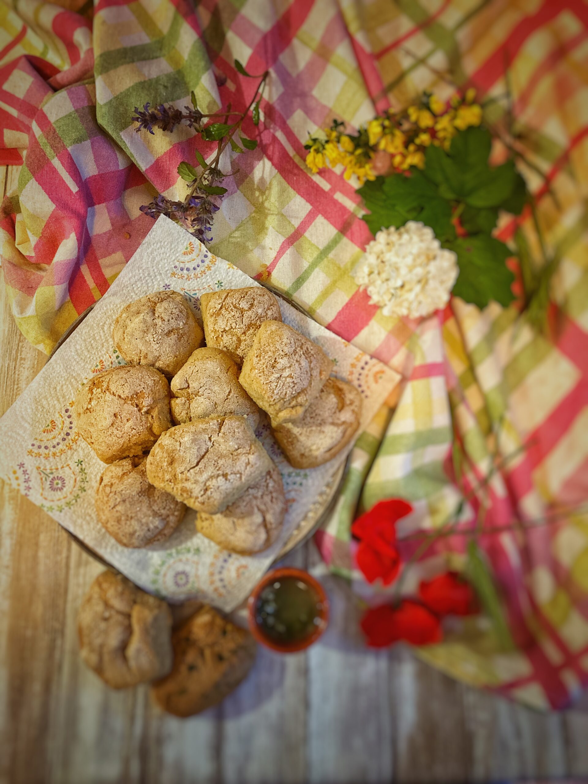 Pampushky (Oekraïne)