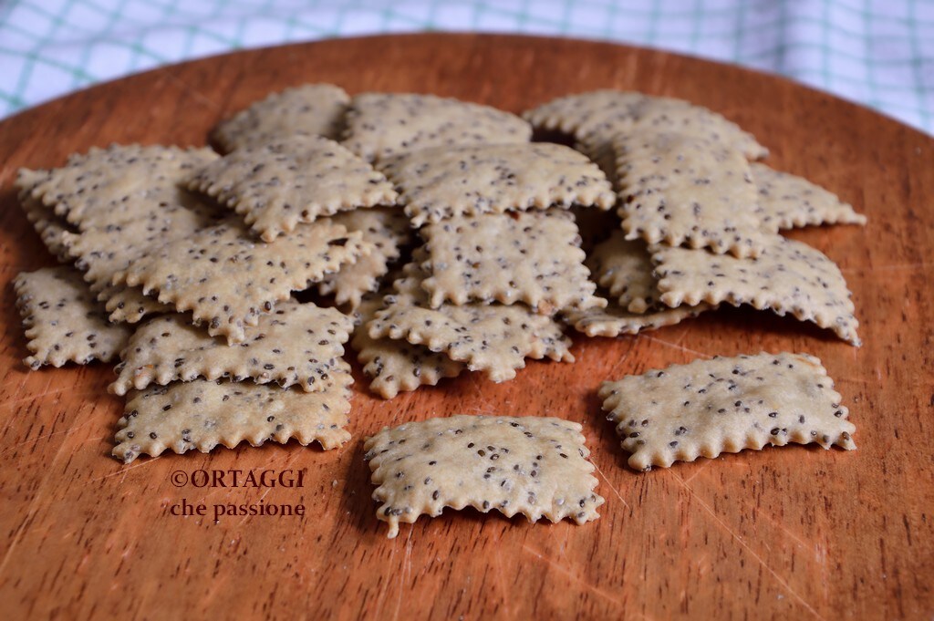 Zelfgemaakte Crackers ZONDER gist – SNEL