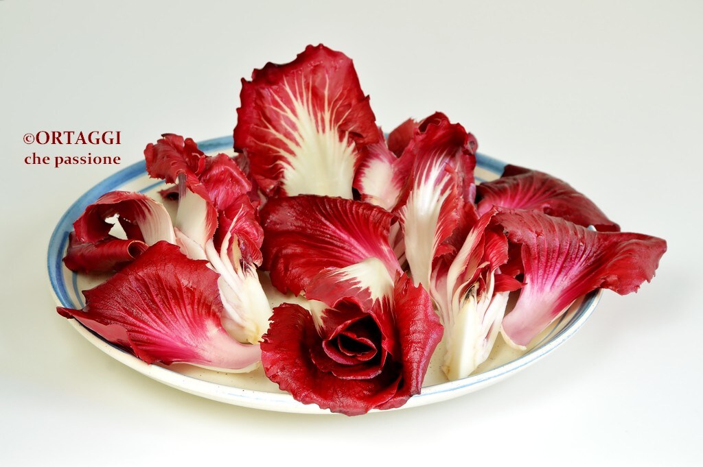 Salade met Rosa di Gorizia