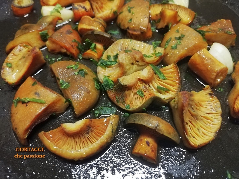 Hoe bloedzwammen te koken – rositi