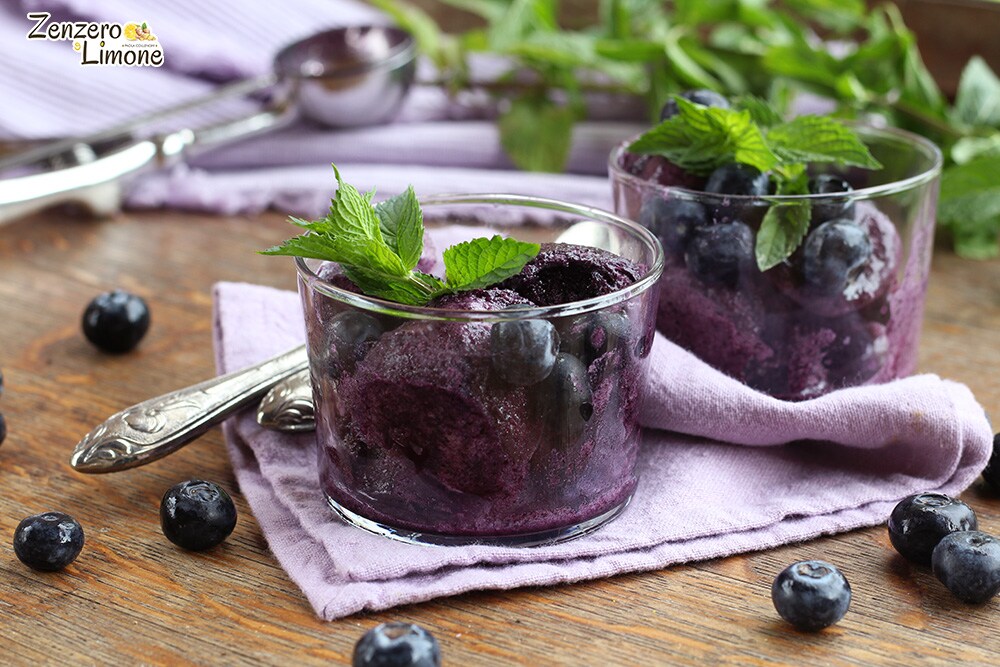 Bosbessensorbet