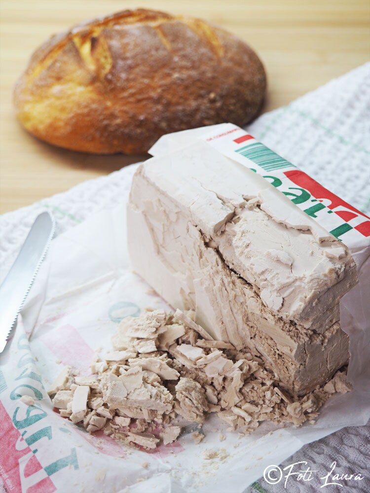 Hoe verse bakkersgist in te vriezen