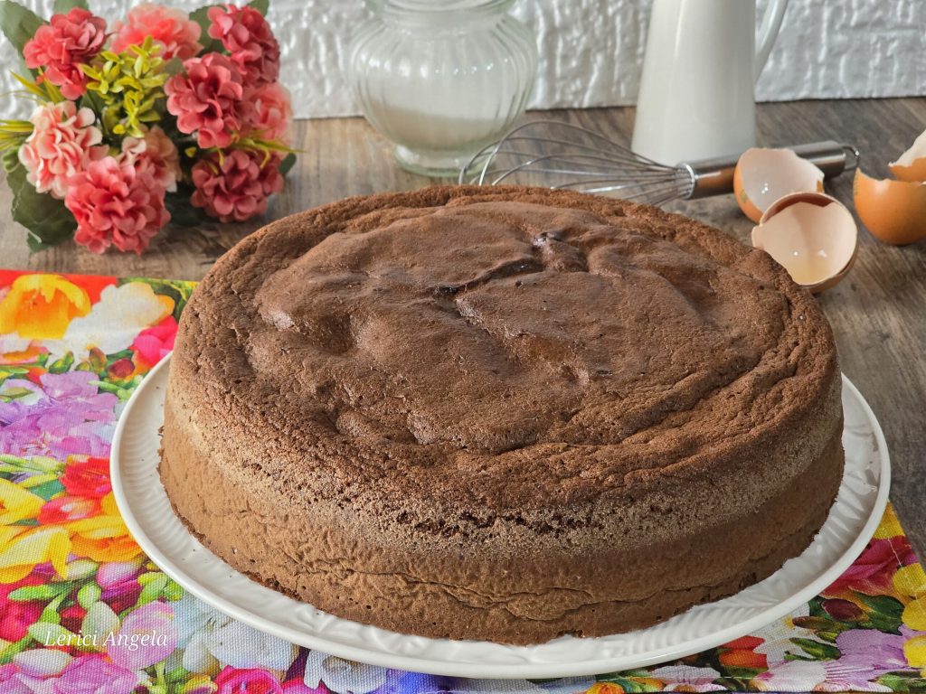 Luchtige chocolade biscuit