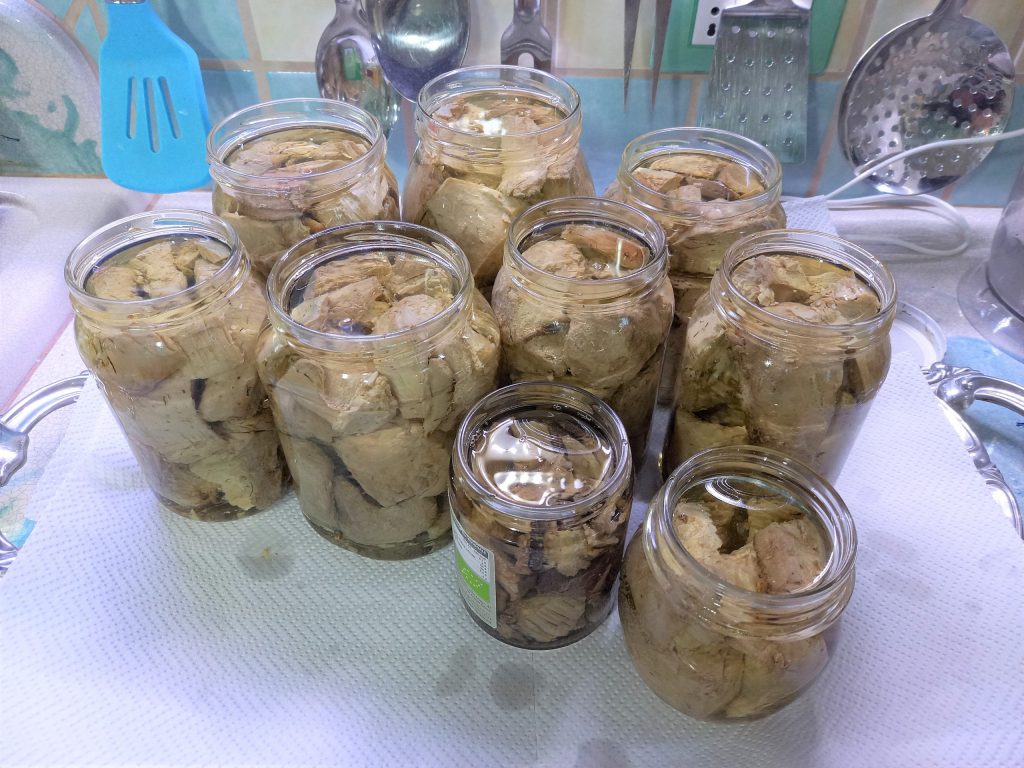 De conserve van rode tonijn in olie