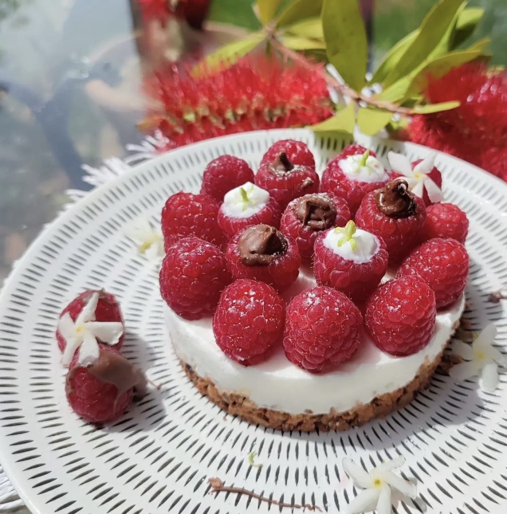 Frambozen Cheesecake