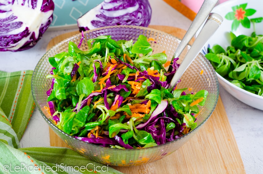 Veldsla, rode kool en wortel salade