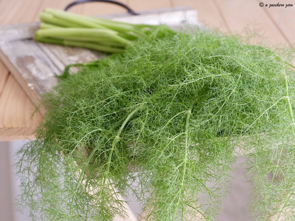 Wilde venkel light pesto en smaakmaker