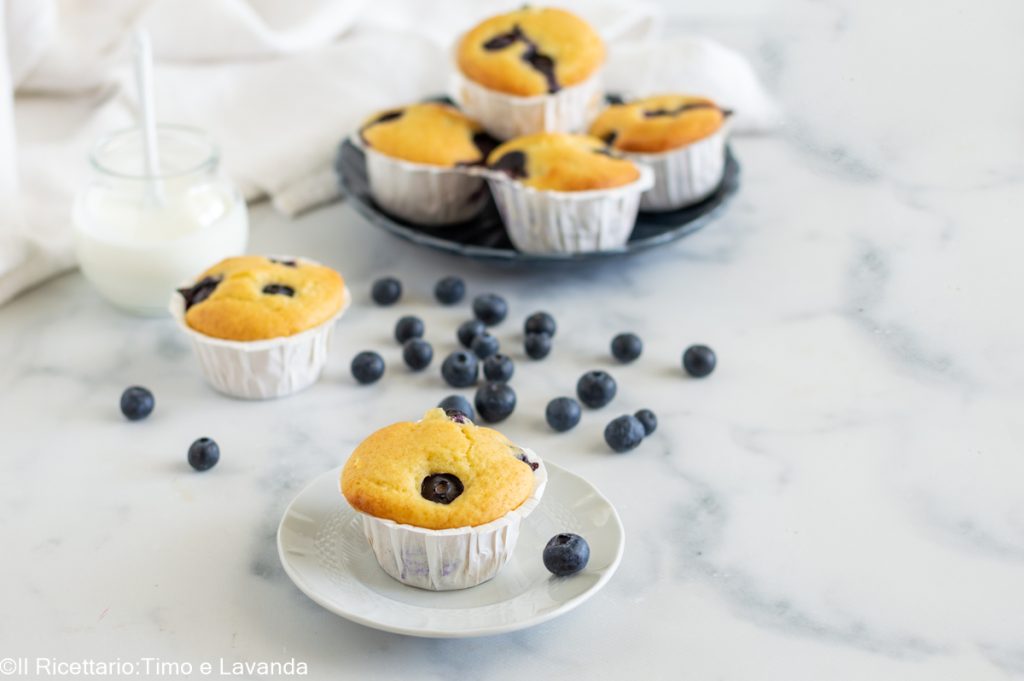 YOGHURT- EN BOSBESSENMUFFINS