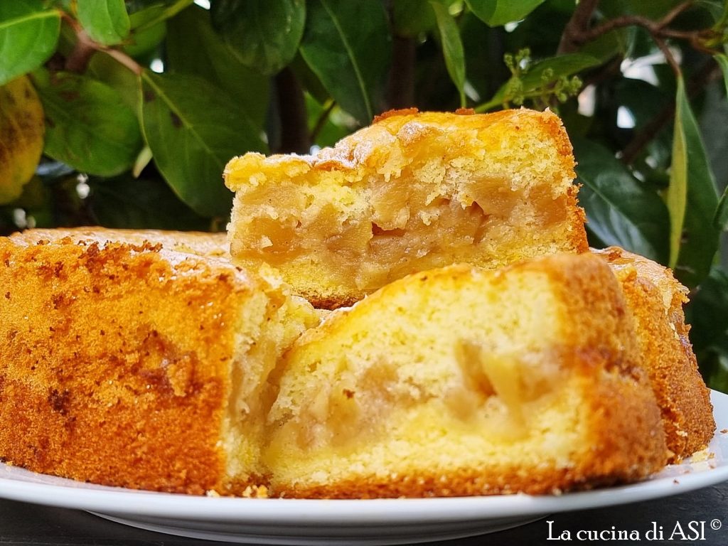 Zachte cake gemakkelijk rijk aan fruit zonder weegschaal