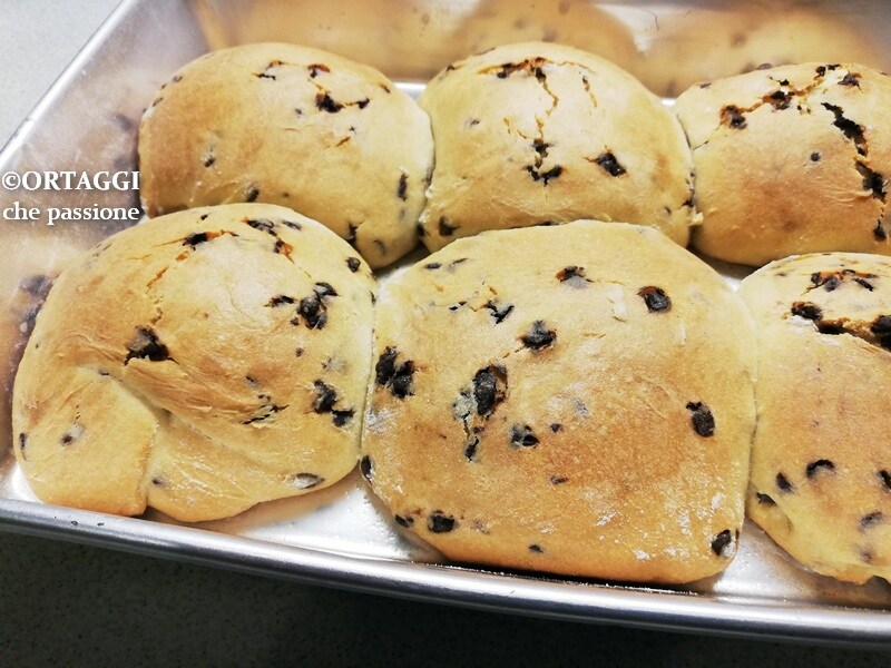Zoete broodjes met chocoladedruppels – zuurdesem