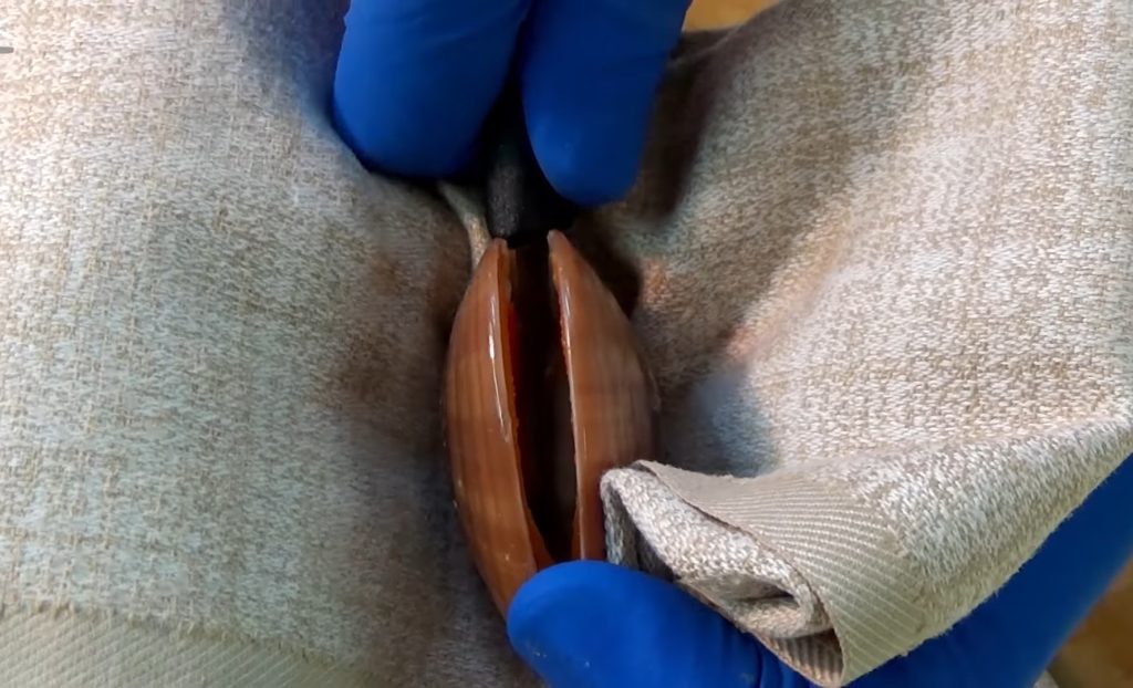 Risotto alla pescatore