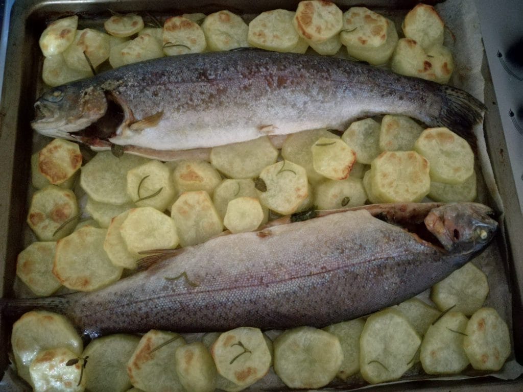 forellen net uit de oven