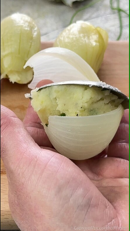gevulde uien gegratineerd