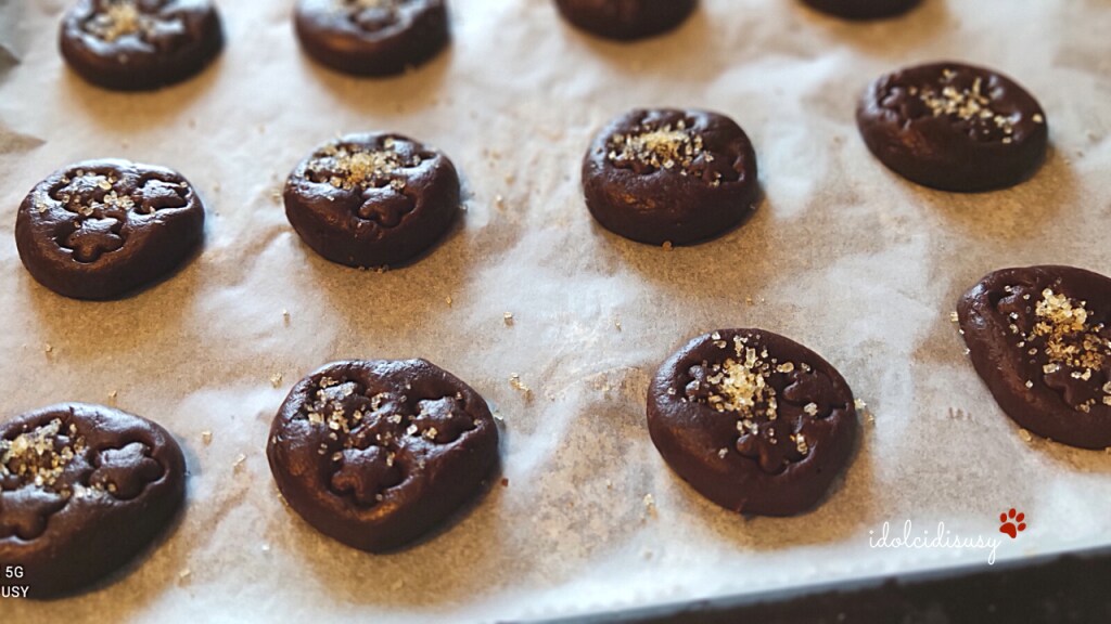 idolcidisusy cacaokoekjes met zuurdesem