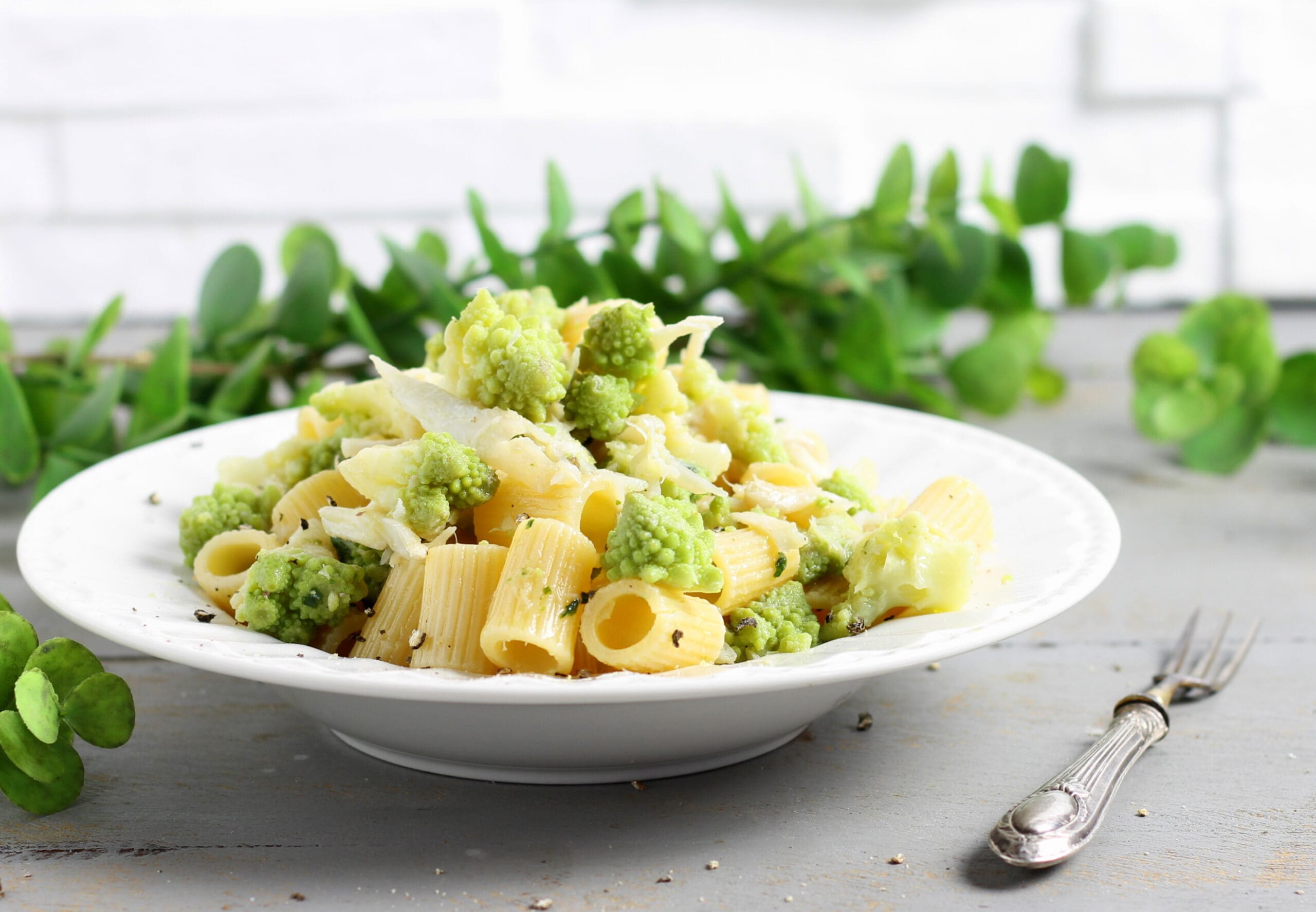 Mezze maniche rog en romanesco