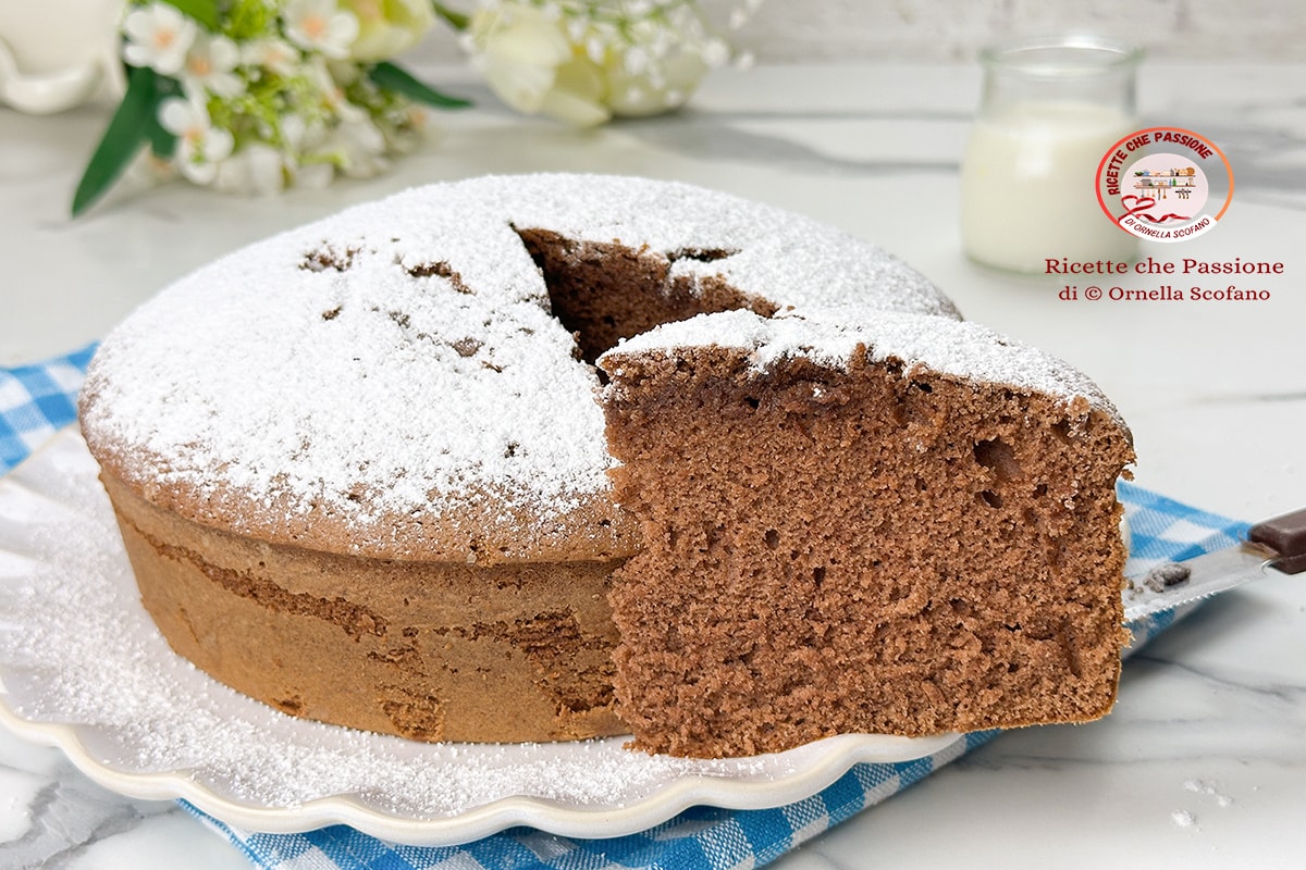 Schoonmoeders chocoladetaart