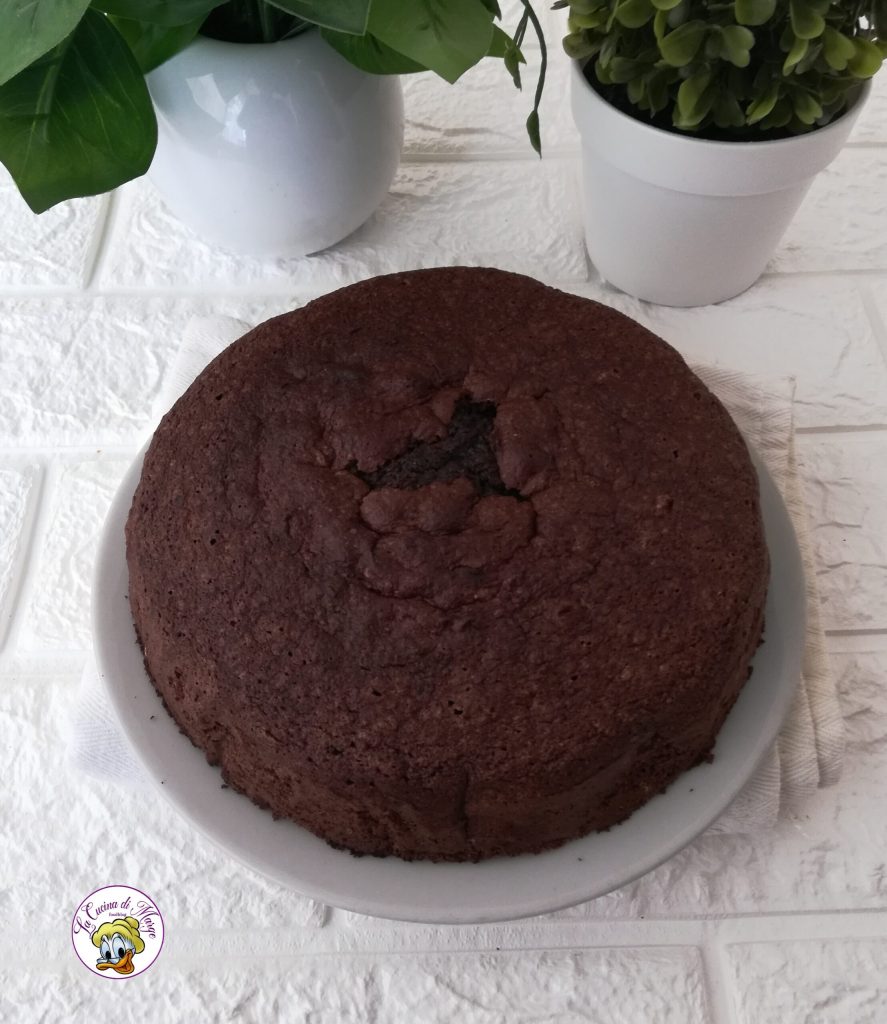 EIWIT EN CACAO TAART