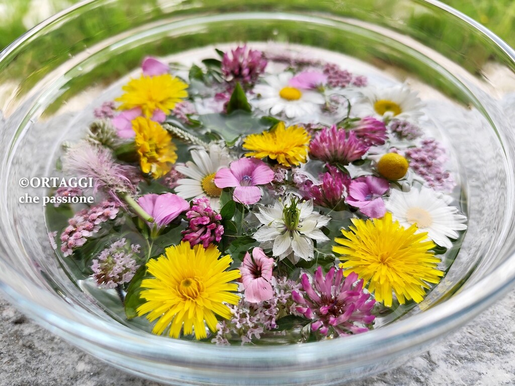 Alles over het Water van Sint Jan – Zinnen en bloemen om te gebruiken