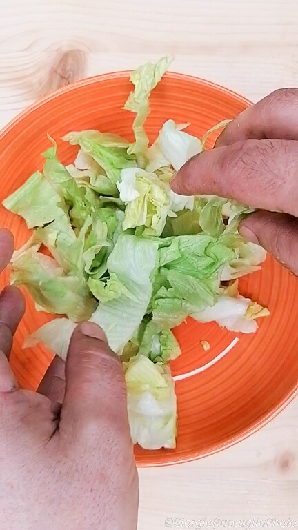 zomerse frisse salade