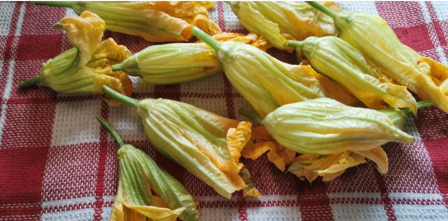 Gebakken courgettebloemen