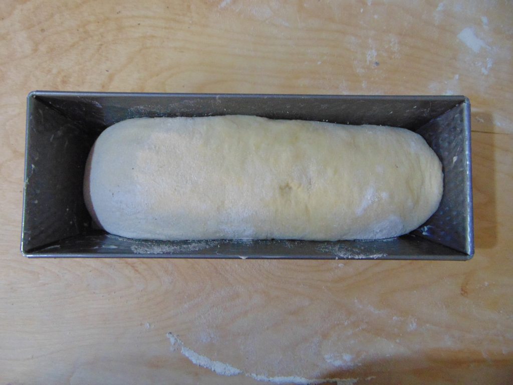 GEVARIEERDE BRIOCHEBROOD