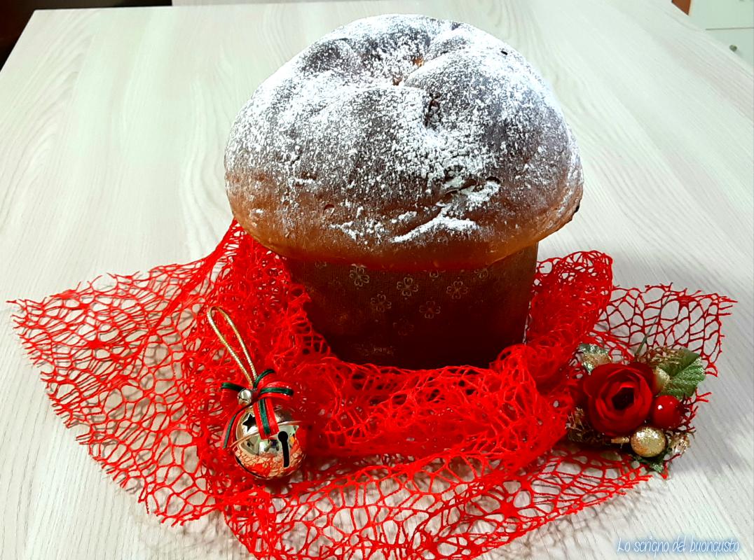 Panettone met de broodbakmachine