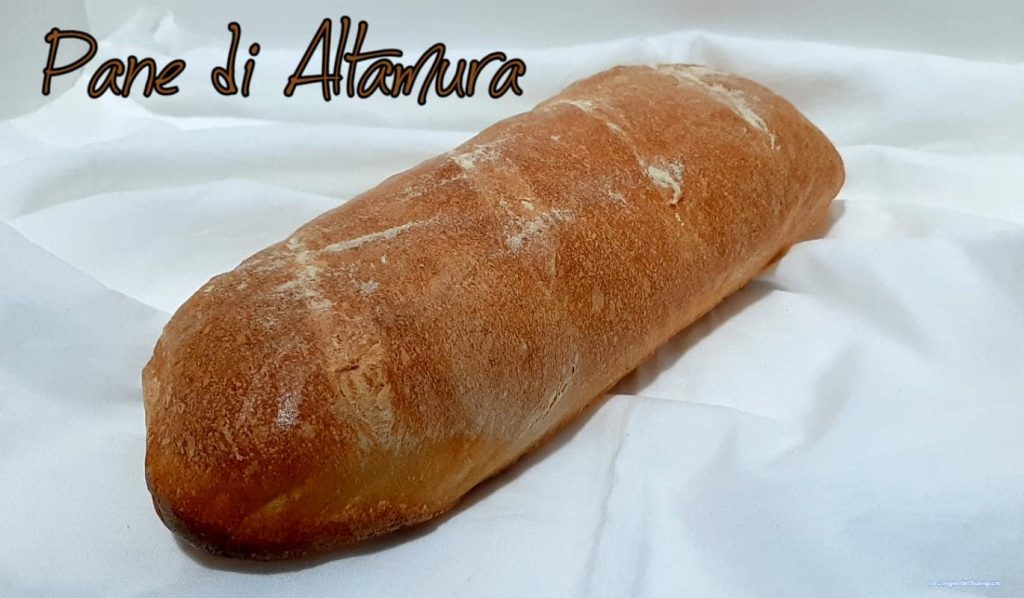Altamura Brood